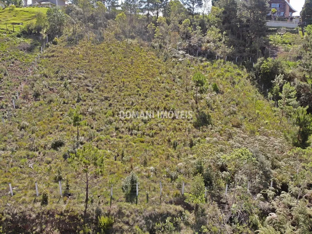 Terreno à venda, 1800m² - Foto 4