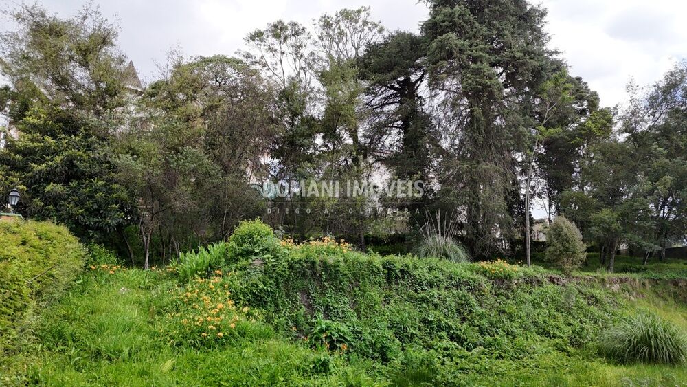 Loteamento e Condomínio, 2540 m² - Foto 2