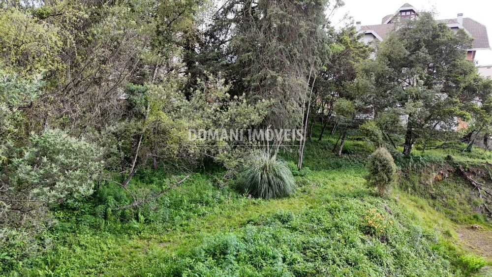 Loteamento e Condomínio, 2540 m² - Foto 6