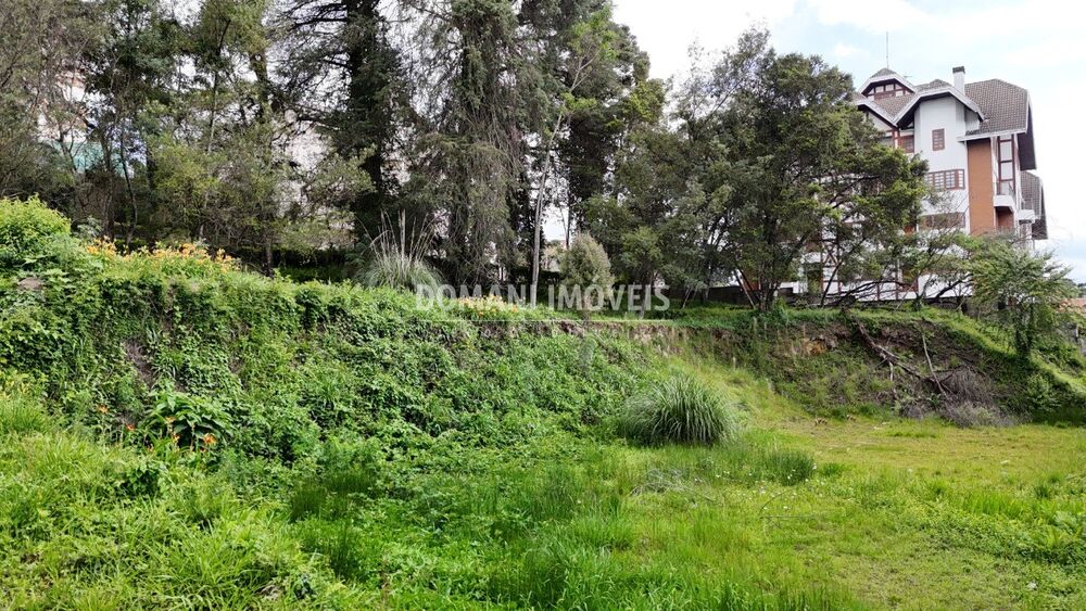 Loteamento e Condomínio, 2540 m² - Foto 3