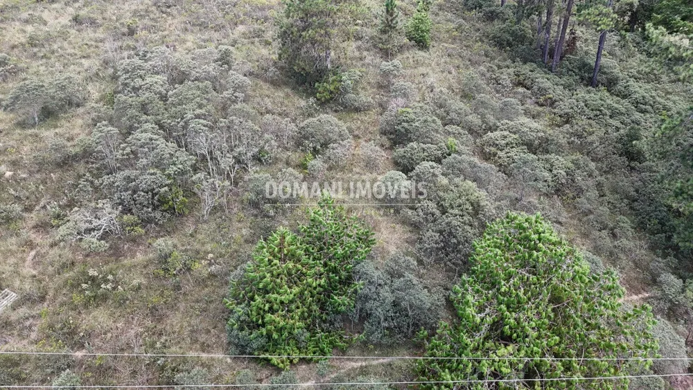 Terreno, 1515 m² - Foto 8