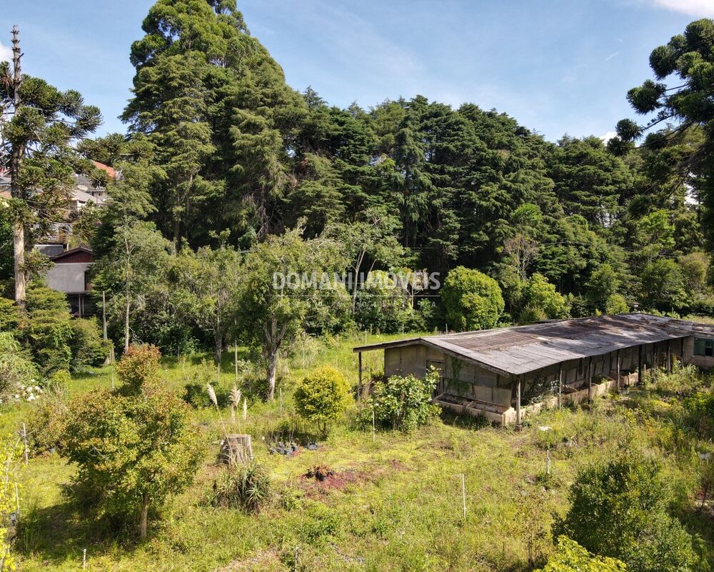 Terreno - Foto 2