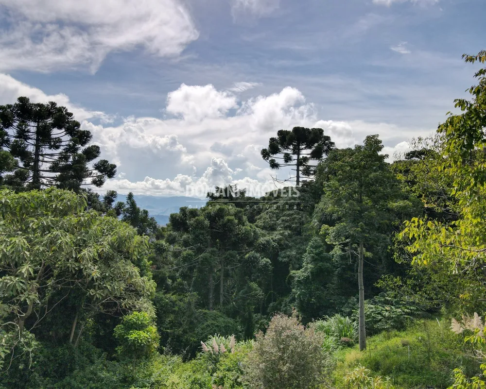 Terreno - Foto 6