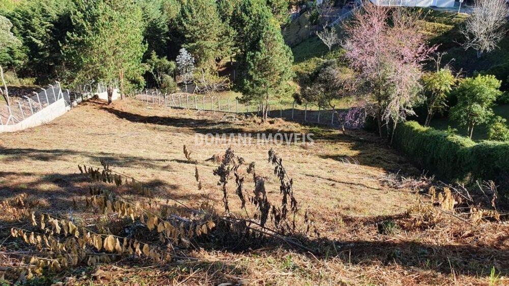 Terreno, 2180 m² - Foto 4