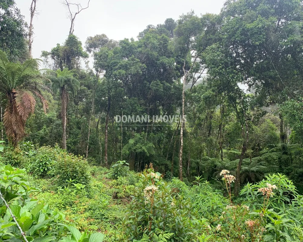 Terreno, 1050 m² - Foto 1