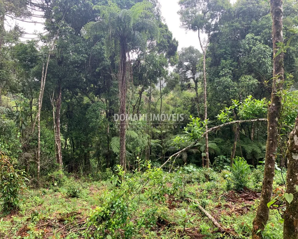 Terreno, 1050 m² - Foto 5