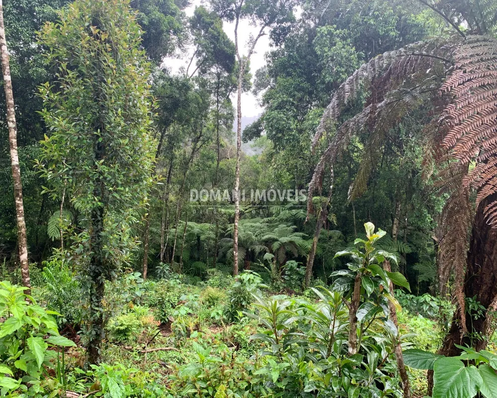Terreno, 1050 m² - Foto 6