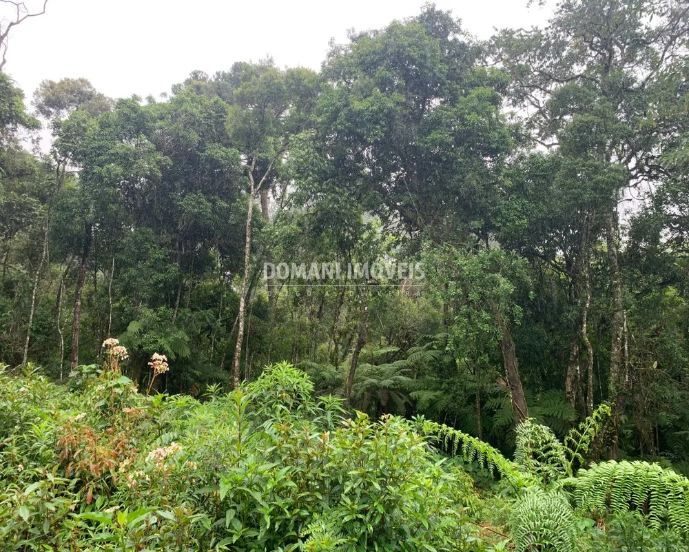 Terreno, 1050 m² - Foto 8