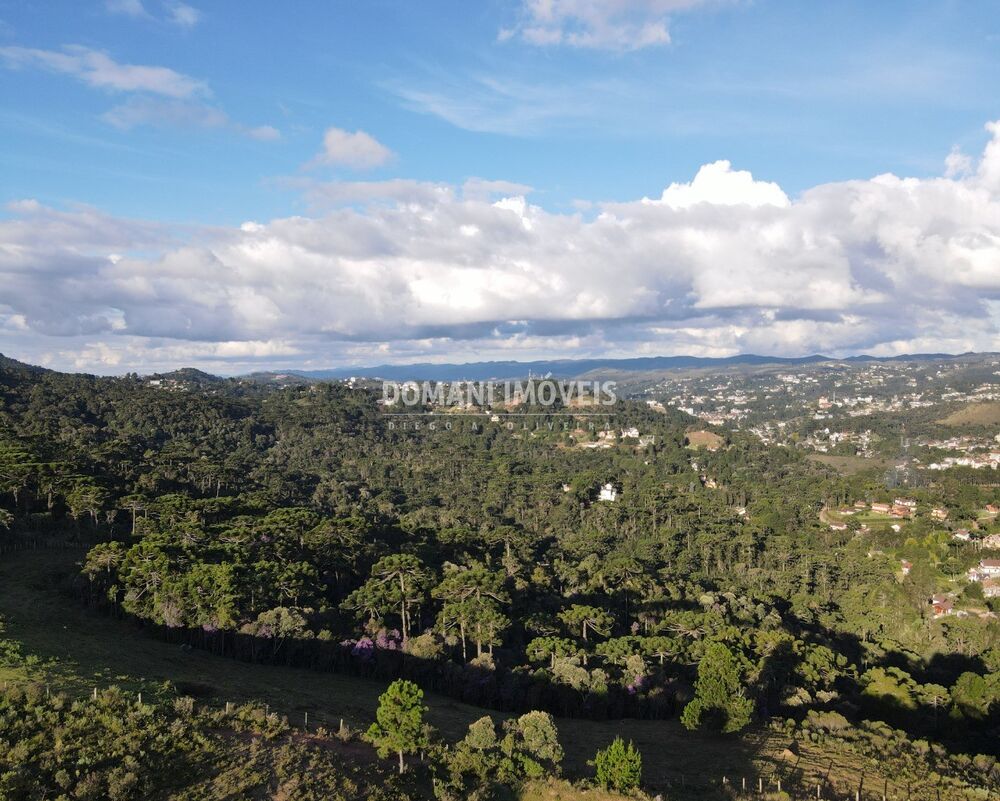 Terreno - Foto 4