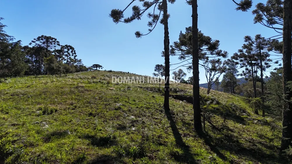 Terreno, 1410 m² - Foto 7