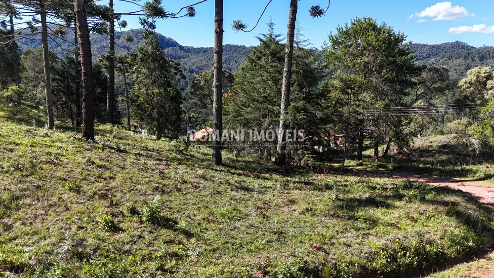 Terreno, 1410 m² - Foto 3