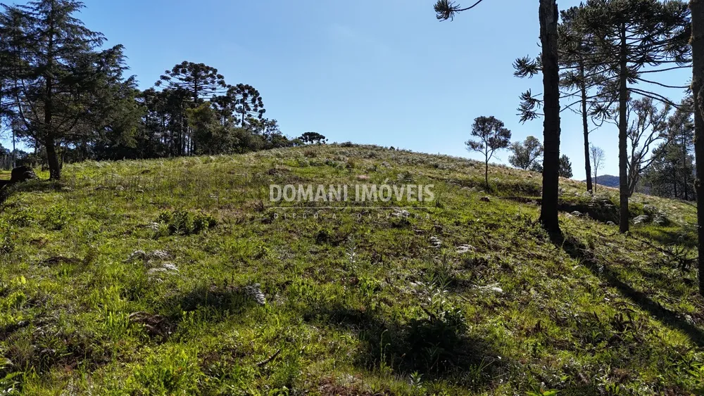 Terreno, 1410 m² - Foto 4