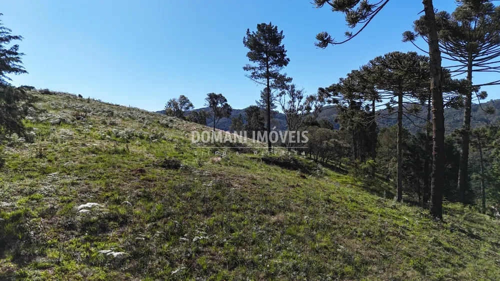 Terreno, 1410 m² - Foto 6