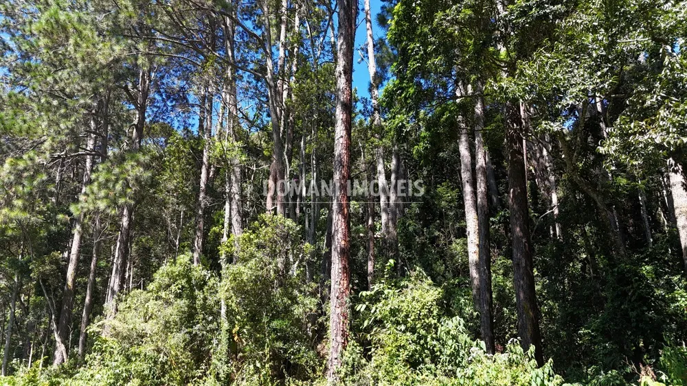 Terreno - Foto 7