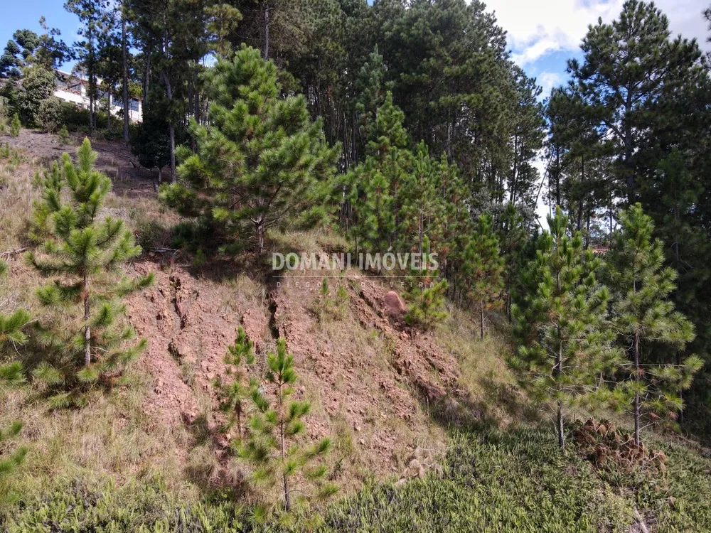 Terreno, 1800 m² - Foto 5