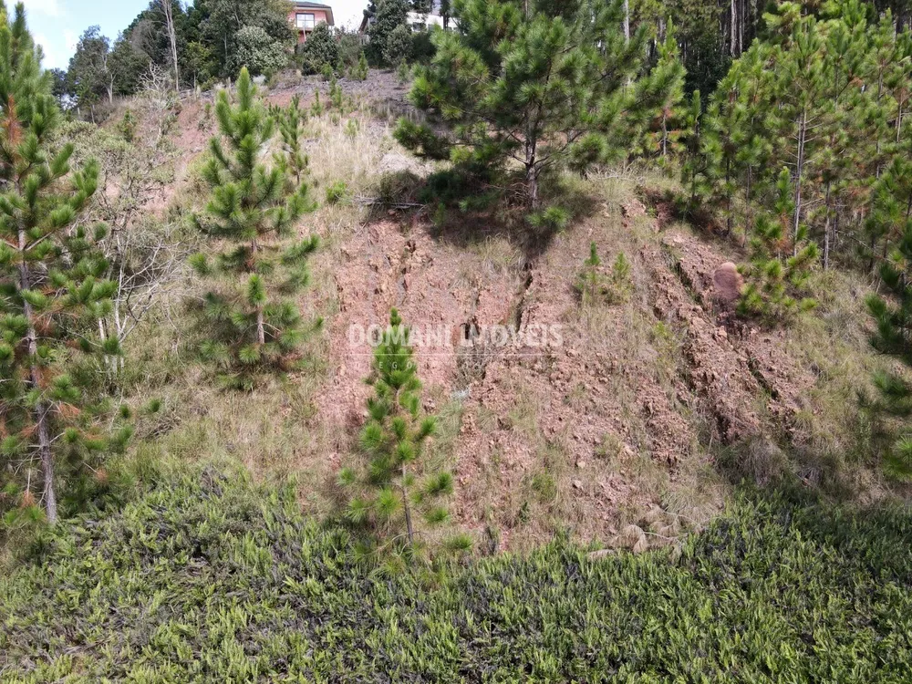 Terreno, 1800 m² - Foto 3