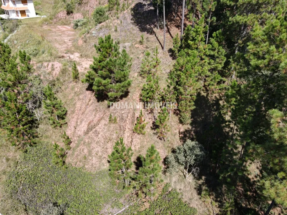 Terreno, 1800 m² - Foto 7