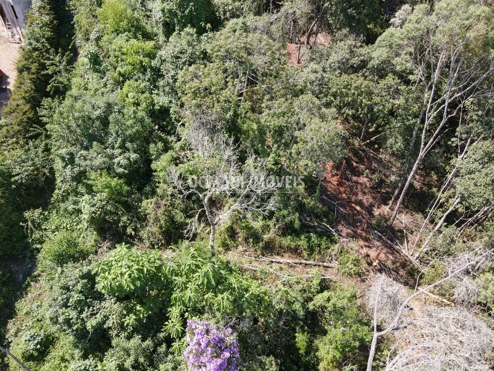 Terreno, 1080 m² - Foto 8