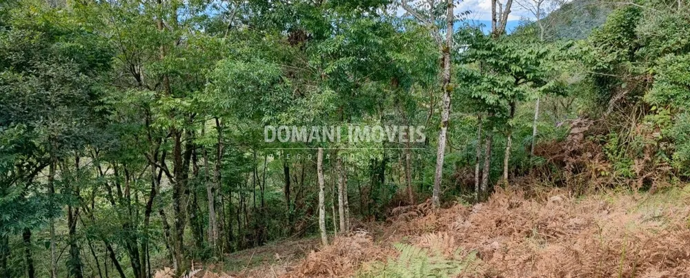 Terreno - Foto 1