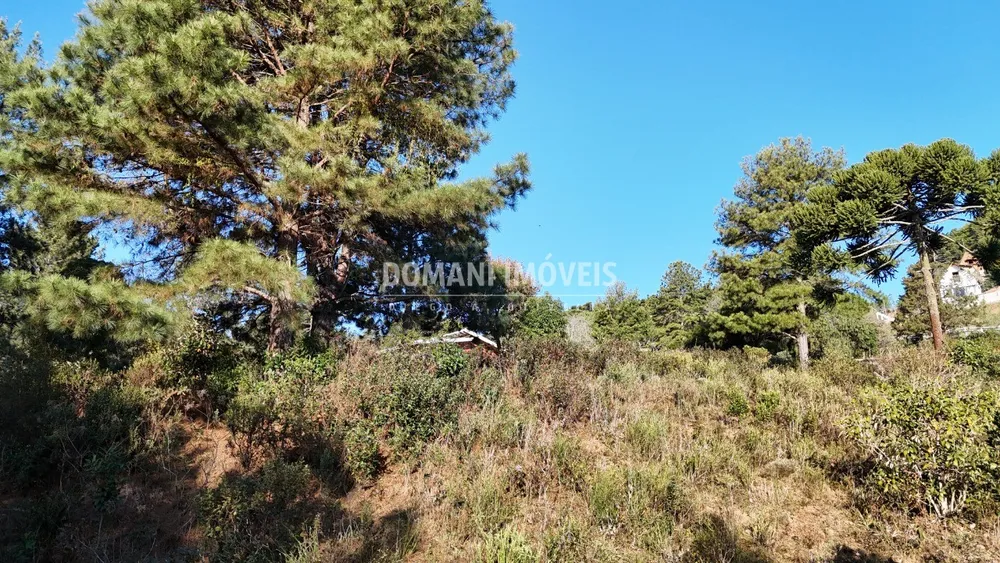 Terreno, 1700 m² - Foto 3