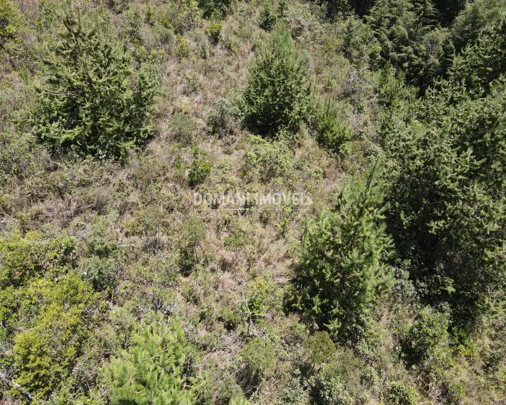 Terreno, 3220 m² - Foto 4