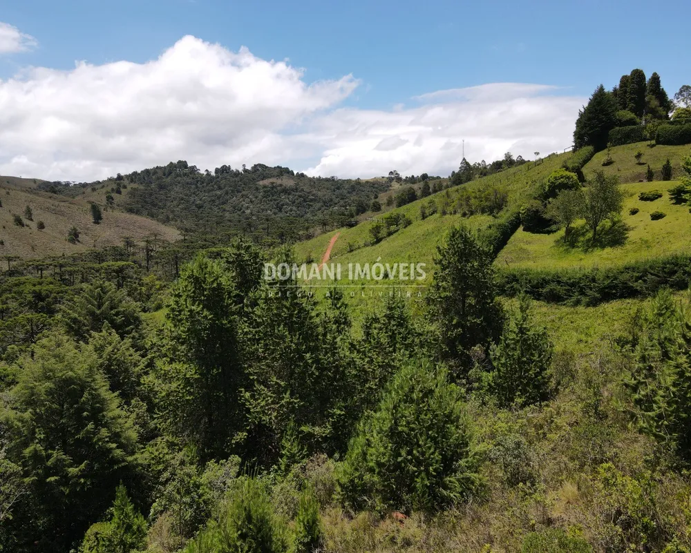 Terreno, 3220 m² - Foto 7