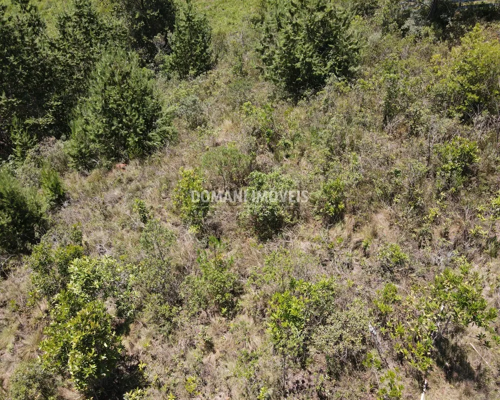 Terreno, 3220 m² - Foto 3