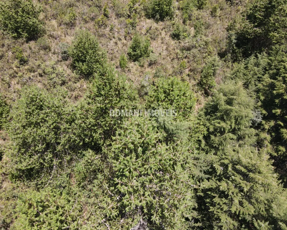 Terreno, 3220 m² - Foto 6