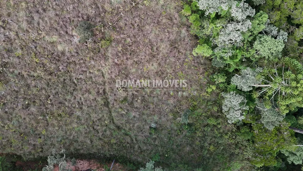 Terreno, 1985 m² - Foto 4