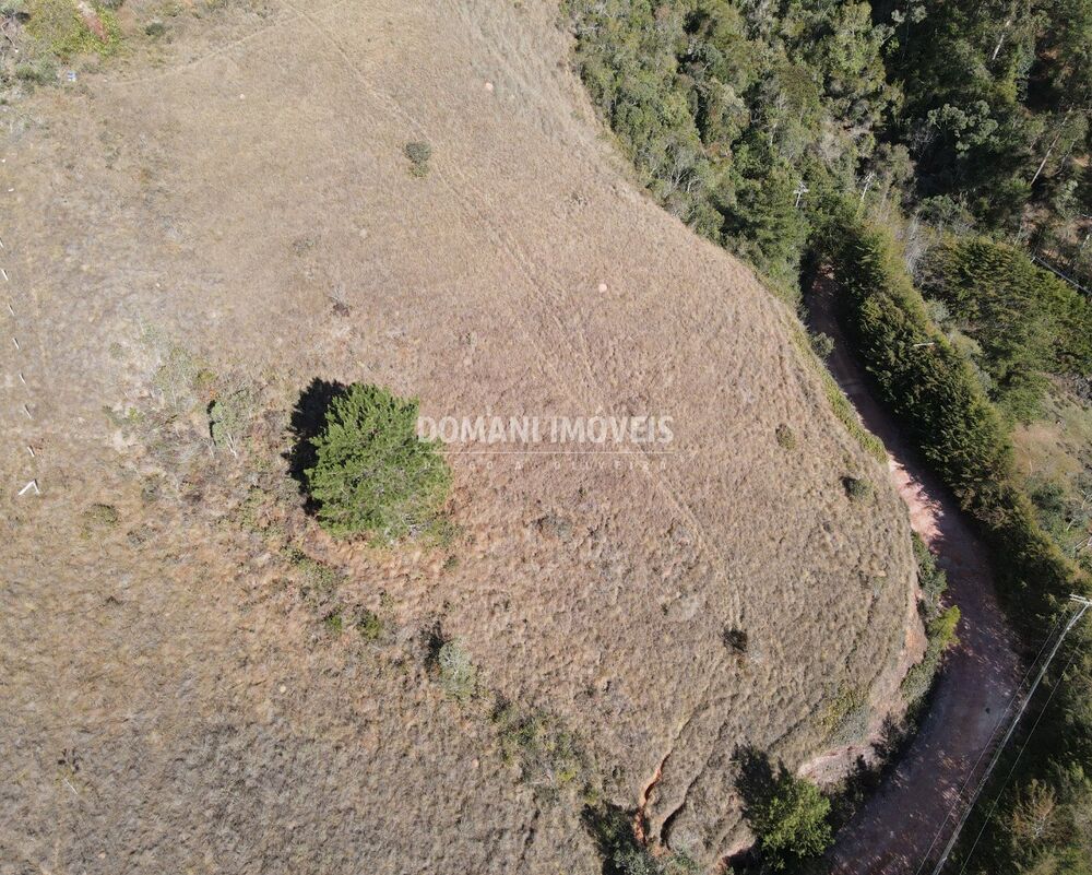Terreno, 2700 m² - Foto 6