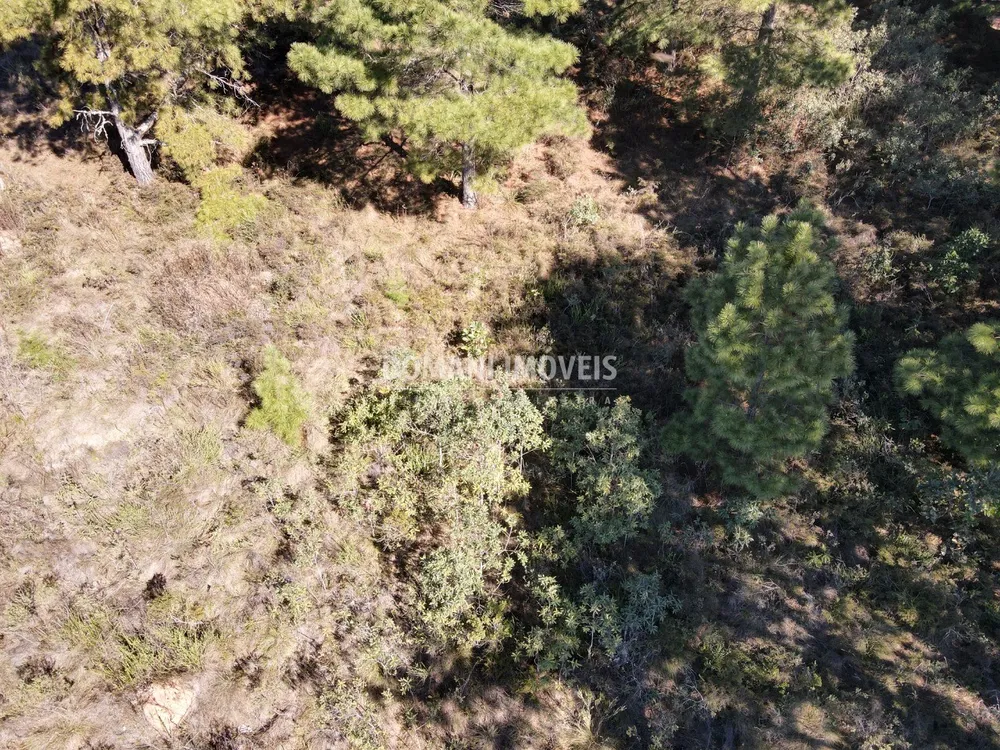 Terreno, 1030 m² - Foto 3