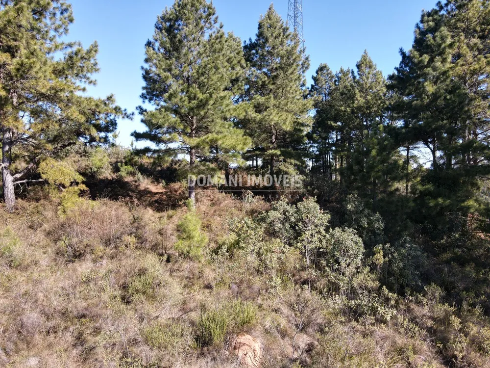 Terreno, 1030 m² - Foto 2