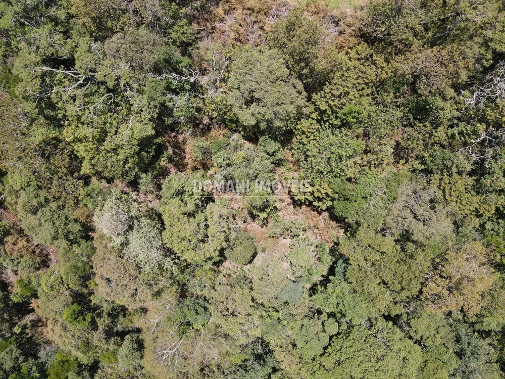 Terreno, 8900 m² - Foto 5