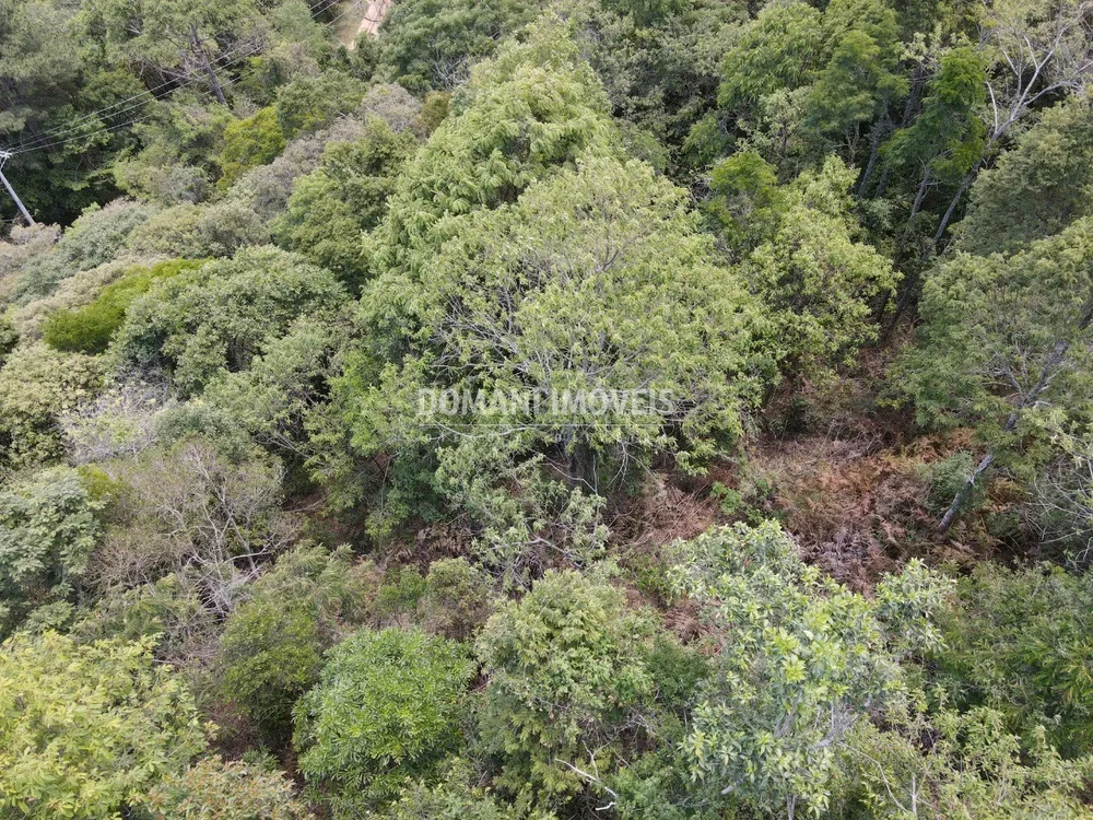 Terreno, 8900 m² - Foto 6