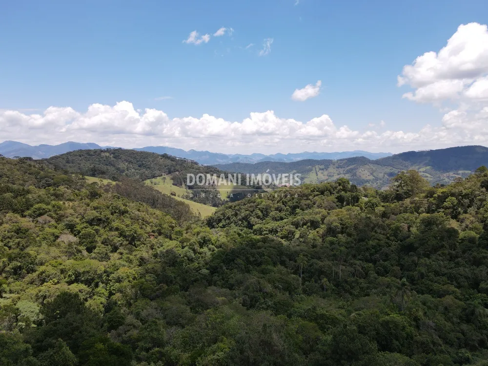 Terreno, 8900 m² - Foto 4