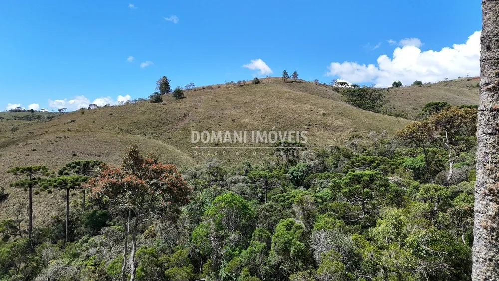 Terreno - Foto 4