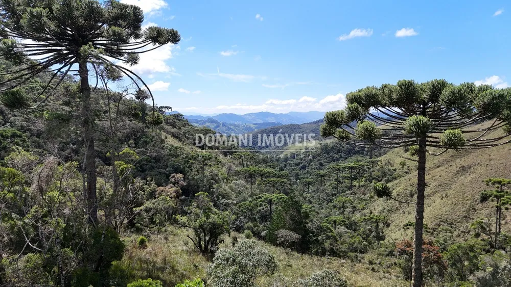 Terreno - Foto 1