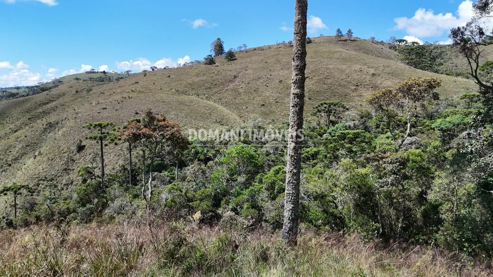 Terreno - Foto 6