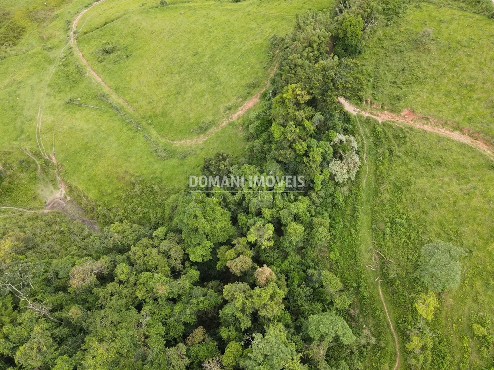Terreno - Foto 4