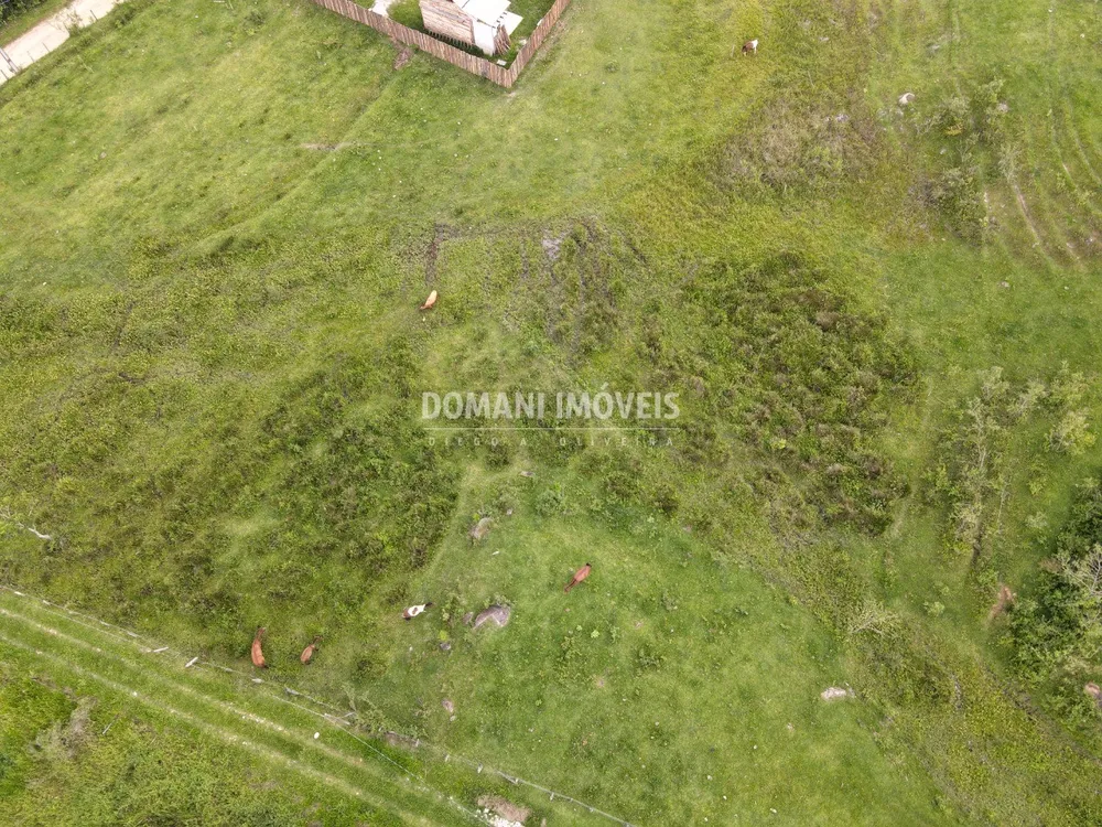 Terreno - Foto 3
