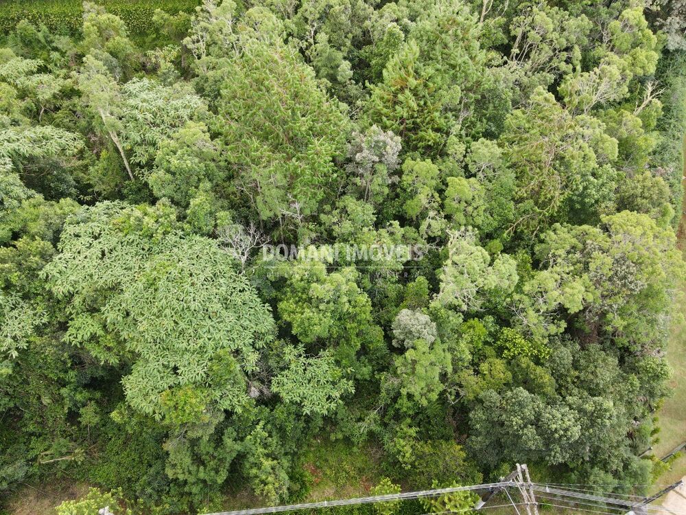 Terreno, 2220 m² - Foto 4