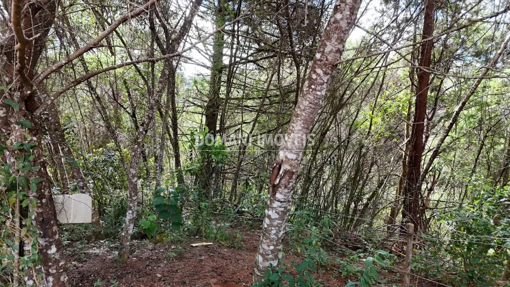Terreno, 965 m² - Foto 1