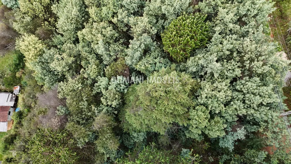 Terreno, 965 m² - Foto 5