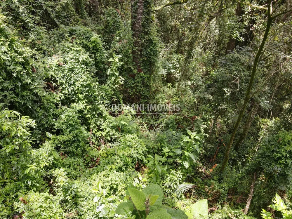 Terreno, 1950 m² - Foto 4