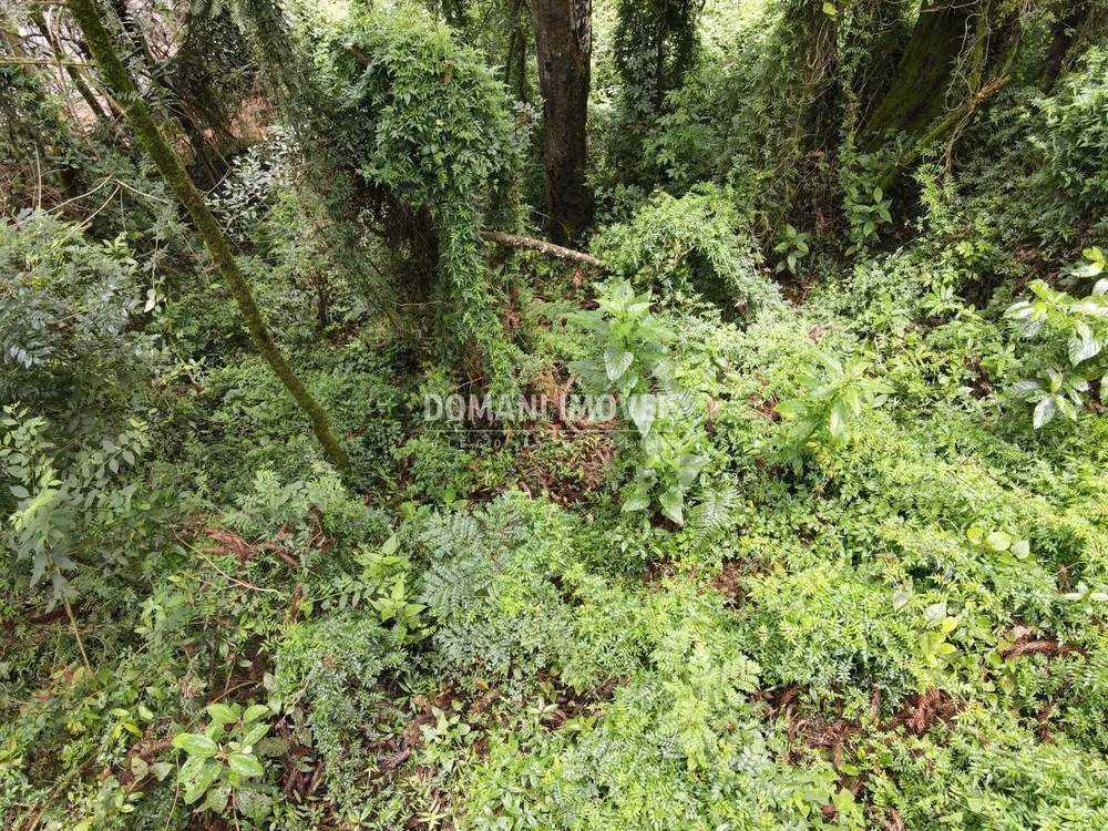 Terreno, 1950 m² - Foto 1