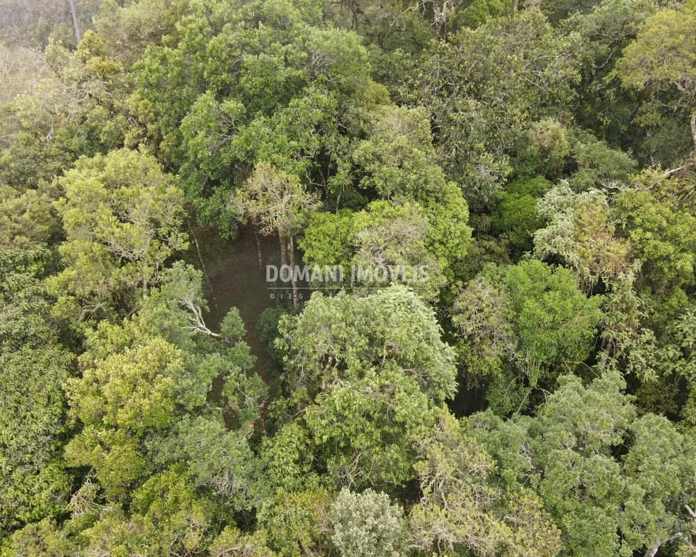 Terreno, 2370 m² - Foto 6