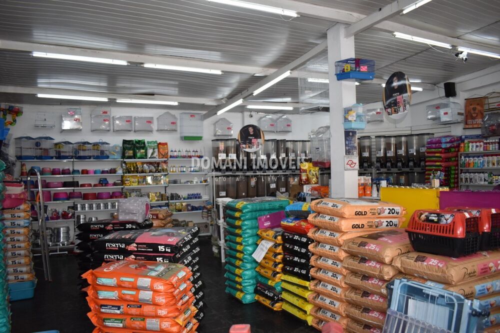 Imóvel Comercial - Foto 3