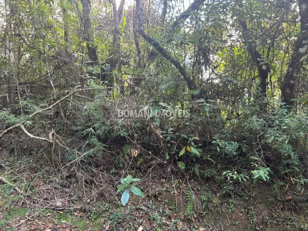 Terreno, 2570 m² - Foto 2