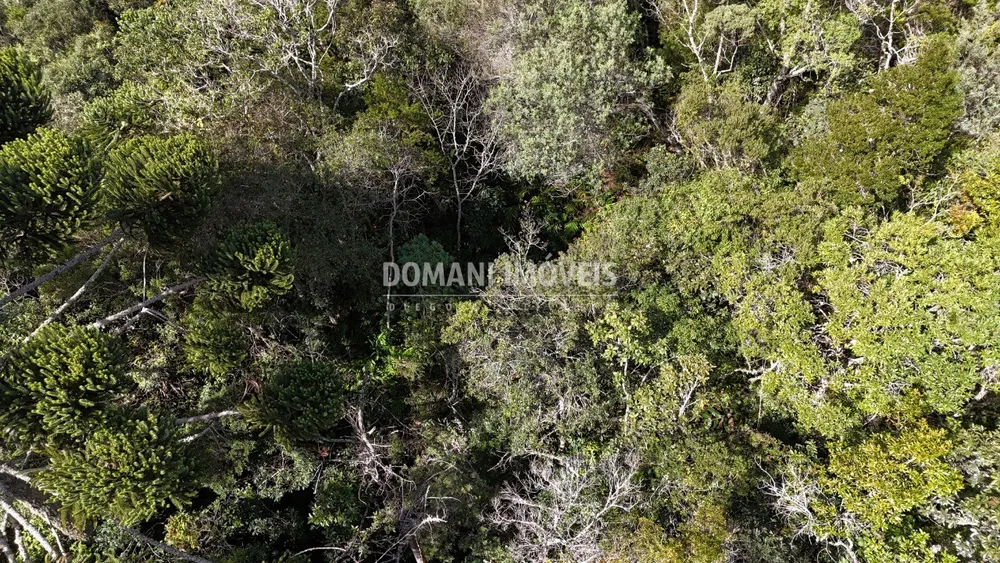 Terreno, 2570 m² - Foto 5