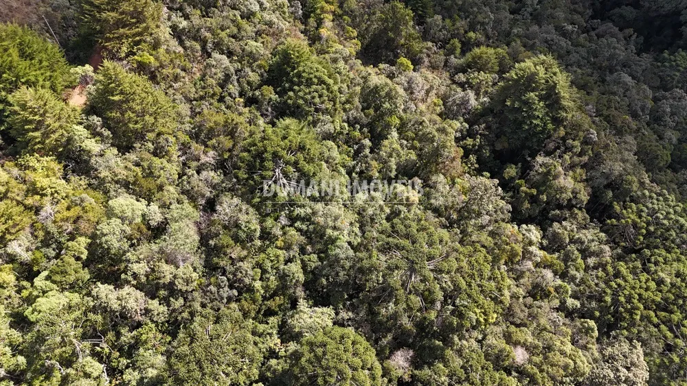 Terreno, 2570 m² - Foto 6